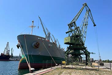 海運出口 海運出口